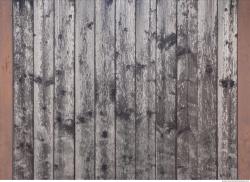 Photo Textures of Wood Planks